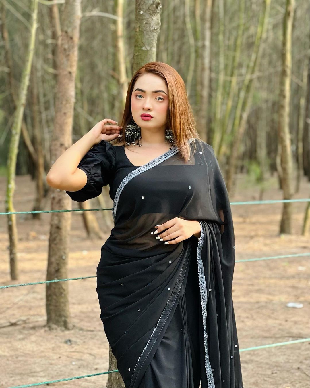 Georgate stone saree